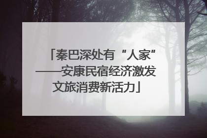 秦巴深处有“人家”——安康民宿经济激发文旅消费新活力