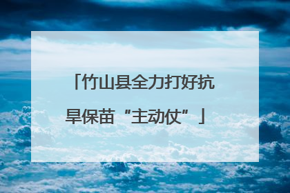 竹山县全力打好抗旱保苗“主动仗”