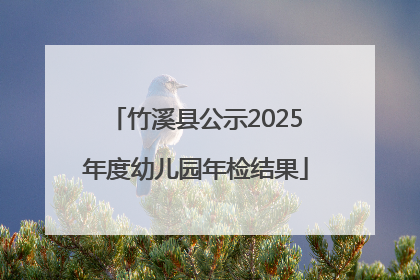 竹溪县公示2025年度幼儿园年检结果
