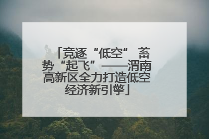 竞逐“低空” 蓄势“起飞”——渭南高新区全力打造低空经济新引擎