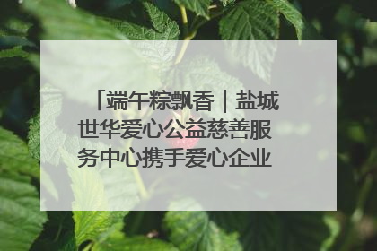 端午粽飘香｜盐城世华爱心公益慈善服务中心携手爱心企业发起情暖“城市守护者”慰问活动