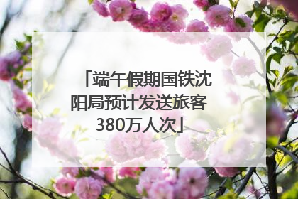 端午假期国铁沈阳局预计发送旅客380万人次