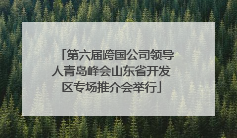 第六届跨国公司领导人青岛峰会山东省开发区专场推介会举行