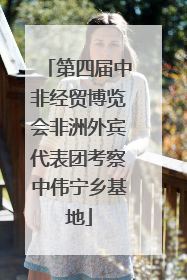 第四届中非经贸博览会非洲外宾代表团考察中伟宁乡基地