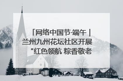 网络中国节·端午｜兰州九州花坛社区开展“红色领航 粽香敬老”端午主题活动