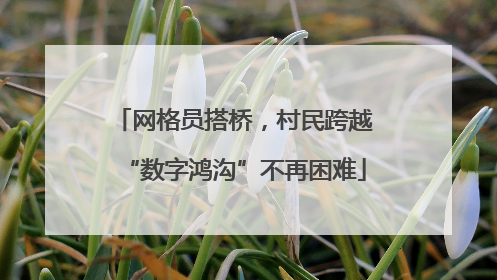 网格员搭桥，村民跨越“数字鸿沟”不再困难
