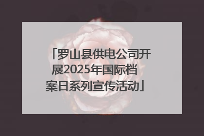罗山县供电公司开展2025年国际档案日系列宣传活动