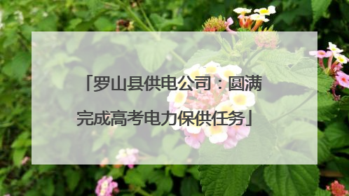 罗山县供电公司：圆满完成高考电力保供任务