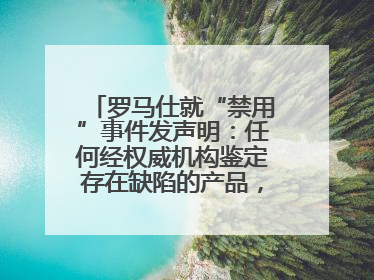 罗马仕就“禁用”事件发声明：任何经权威机构鉴定存在缺陷的产品，将依法负全责