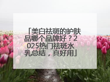 美白祛斑的护肤品哪个品牌好？2025热门祛斑水乳总结，真好用