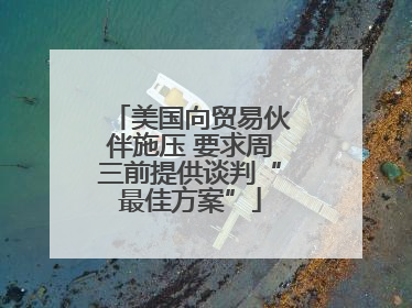 美国向贸易伙伴施压 要求周三前提供谈判“最佳方案”