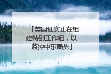 美国证实正在组建特别工作组，以监控中东局势