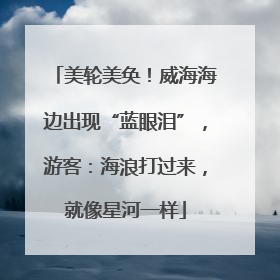 美轮美奂！威海海边出现“蓝眼泪”，游客：海浪打过来，就像星河一样