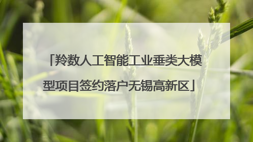 羚数人工智能工业垂类大模型项目签约落户无锡高新区