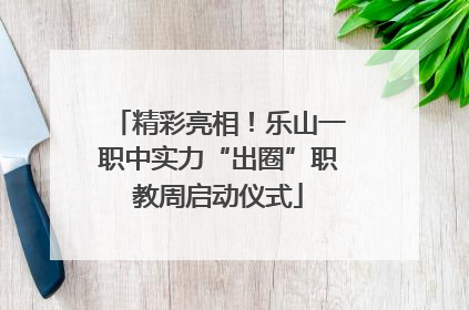 精彩亮相！乐山一职中实力“出圈”职教周启动仪式