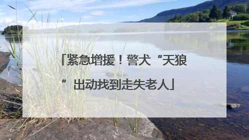 紧急增援！警犬“天狼”出动找到走失老人