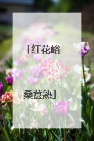红花峪 桑葚熟