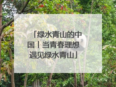 绿水青山的中国丨当青春理想遇见绿水青山