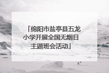 绵阳市盐亭县五龙小学开展全国无烟日主题班会活动