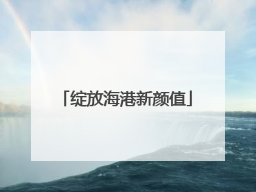 绽放海港新颜值