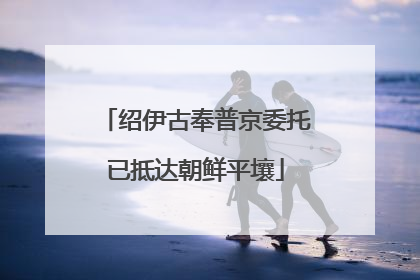 绍伊古奉普京委托已抵达朝鲜平壤