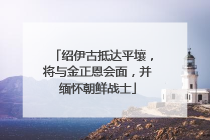 绍伊古抵达平壤，将与金正恩会面，并缅怀朝鲜战士
