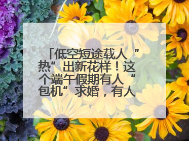 低空短途载人“热”出新花样！这个端午假期有人“包机”求婚，有人空中看龙舟赛
