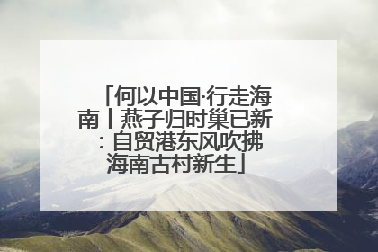 何以中国·行走海南丨燕子归时巢已新：自贸港东风吹拂 海南古村新生