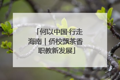 何以中国·行走海南｜侨校飘茶香 职教新发展