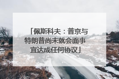 佩斯科夫：普京与特朗普尚未就会面事宜达成任何协议