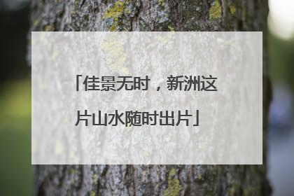 佳景无时，新洲这片山水随时出片