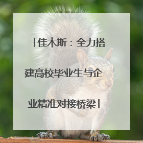 佳木斯：全力搭建高校毕业生与企业精准对接桥梁