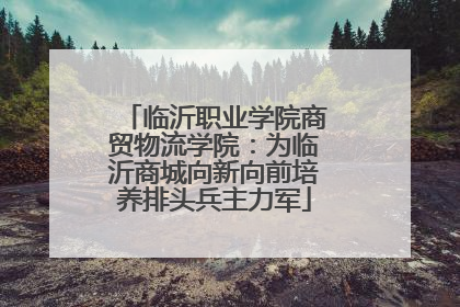 临沂职业学院商贸物流学院：为临沂商城向新向前培养排头兵主力军