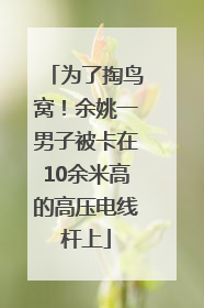 为了掏鸟窝！余姚一男子被卡在10余米高的高压电线杆上