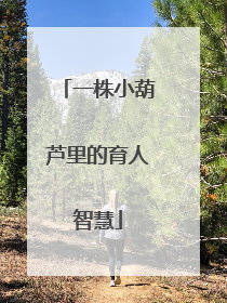 一株小葫芦里的育人智慧