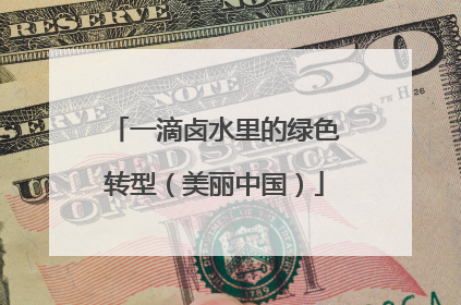 一滴卤水里的绿色转型（美丽中国）