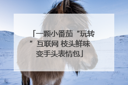 一颗小番茄“玩转”互联网 枝头鲜味变手头表情包