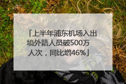 上半年浦东机场入出境外籍人员破500万人次，同比增46%