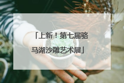 上新！第七届骆马湖沙雕艺术展