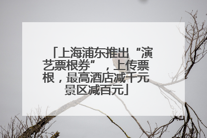 上海浦东推出“演艺票根券”，上传票根，最高酒店减千元景区减百元