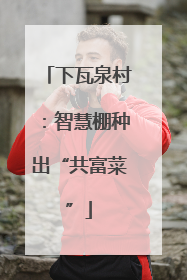 下瓦泉村：智慧棚种出“共富菜”