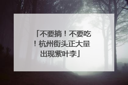 不要摘！不要吃！杭州街头正大量出现紫叶李