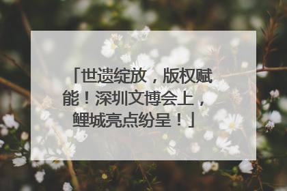 世遗绽放，版权赋能！深圳文博会上，鲤城亮点纷呈！
