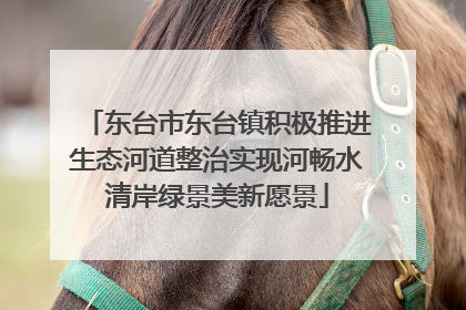 东台市东台镇积极推进生态河道整治实现河畅水清岸绿景美新愿景