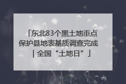 东北83个黑土地重点保护县地表基质调查完成｜全国“土地日”