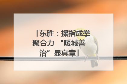 东胜：攥指成拳聚合力 “暖城善治”显真章
