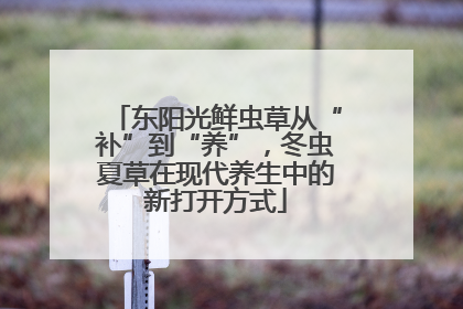 东阳光鲜虫草从“补”到“养”，冬虫夏草在现代养生中的新打开方式