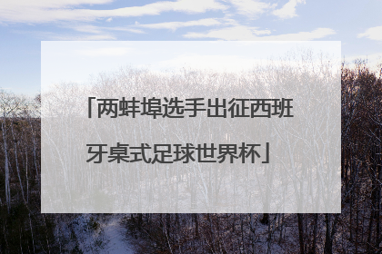 两蚌埠选手出征西班牙桌式足球世界杯