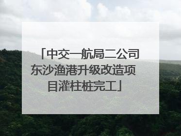 中交一航局二公司东沙渔港升级改造项目灌柱桩完工
