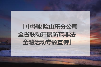 中华财险山东分公司全省联动开展防范非法金融活动专题宣传